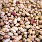 Pinto beans