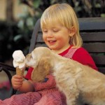 Fill your life with joy