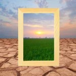 Dry desert cracked mud