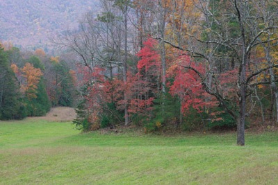 Cades Cove fall colors