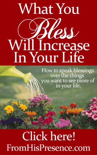 What You Bless Will Increase In Your Life by Jamie Rohrbaugh | FromHisPresence.com Blog