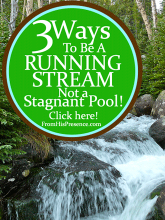 Are You a Running Stream or a Stagnant Pool? by Jamie Rohrbaugh, FromHisPresence Blog