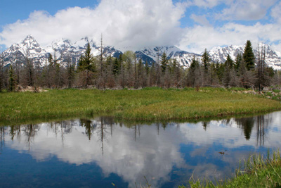 Schwabacher Landing, Grand Teton National Park reflections