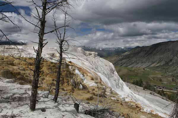 Yellowstone Mammoth 2