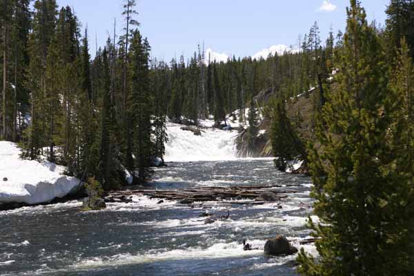 Yellowstone river near Southern entrance