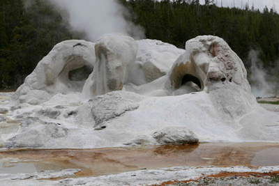 Grotto Geyser, Geyser Basin, Yellowstone National Park