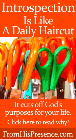 Introspection Is Like a Daily Haircut