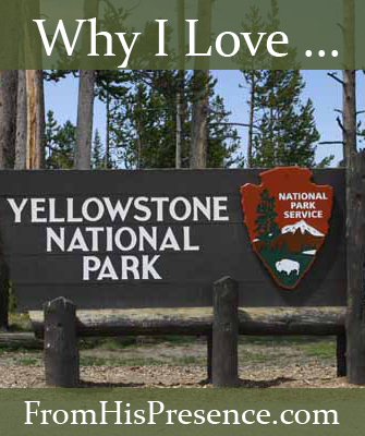 Why I Love Yellowstone National Park