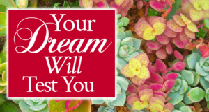 Your Dream Will Test You | by Jamie Rohrbaugh | FromHisPresence.com