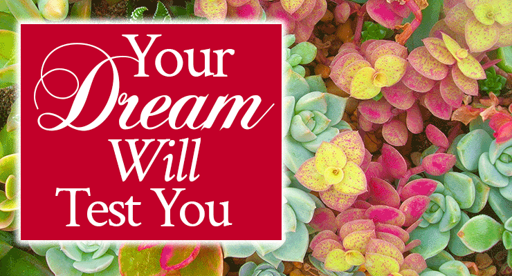 Your Dream Will Test You