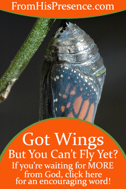 Got Wings But You Can’t Fly Yet?