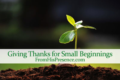 Giving Thanks For Small Beginnings