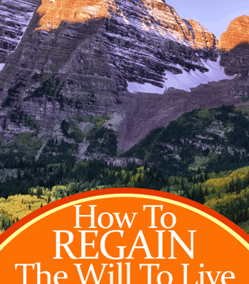 You can regain your hope, even if all seems lost. Click here for how to regain the will to live based on my own personal story. By Jamie Rohrbaugh | FromHisPresence.com