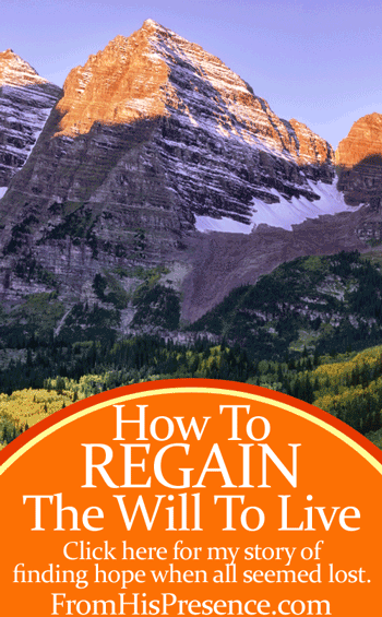 You can regain your hope, even if all seems lost. Click here for how to regain the will to live based on my own personal story. By Jamie Rohrbaugh | FromHisPresence.com