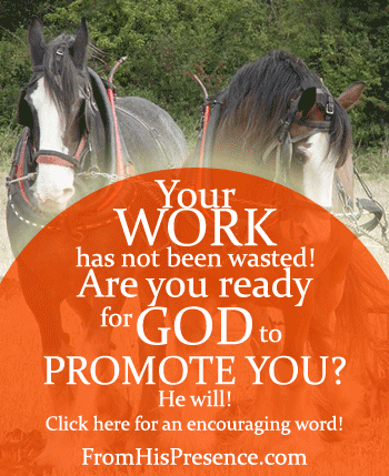 Your work has not been wasted! Are you ready for God to promote you? An encouraging word on the FromHisPresence blog!