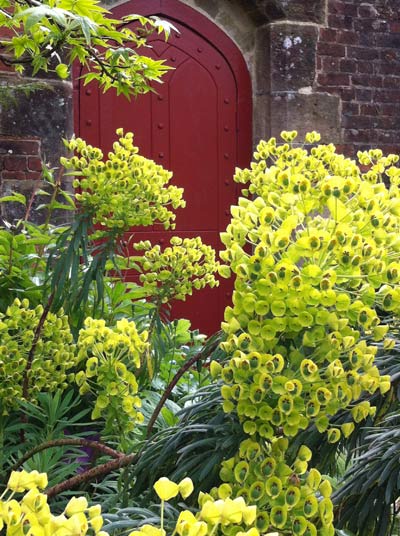 Garden-1-red-door