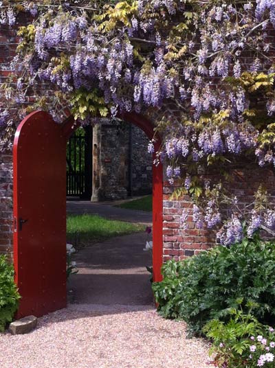 Garden-2-wisteria