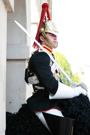 London horse guard