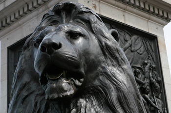 Trafalgar-square-lion