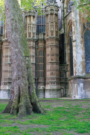 westminster-abbey-side