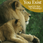 The Real Reason You Exist (and It’s Not To Worship)