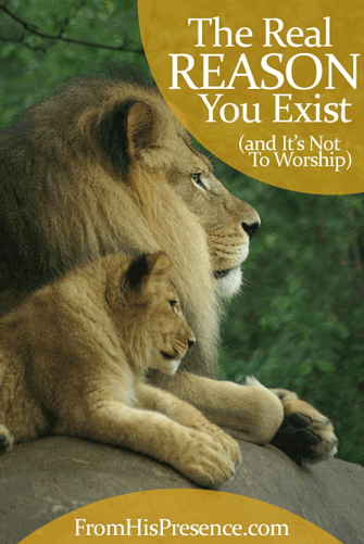 The Real Reason You Exist (and It's Not To Worship). You were made to be with God in love.