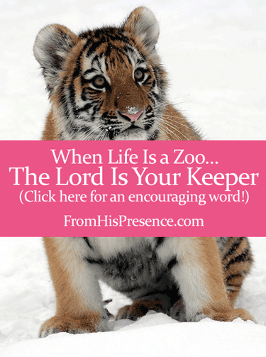 When Life Is a Zoo, the Lord Is Your Keeper (2 Prayers for the Lord to Keep You)