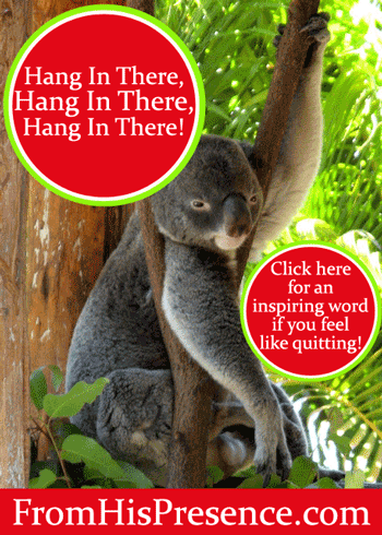 Hang In There, Hang In There, Hang In There! by Jamie Rohrbaugh | FromHisPresence.com Blog