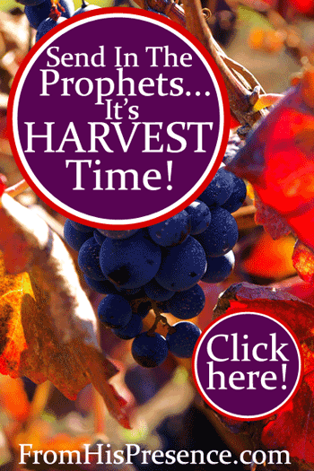Send In the Prophets; It's Harvest Time! by Jamie Rohrbaugh | FromHisPresence.com blog