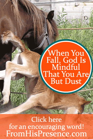 When You Fall, God Is Mindful That You Are But Dust