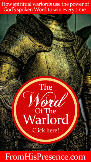 A spiritual warlord knows how to create her own reality using the power of God's spoken word. Read here for more! By Jamie Rohrbaugh | FromHisPresence.com #Warlord series