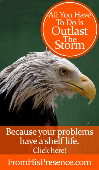 All You Have To Do Is Outlast The Storm