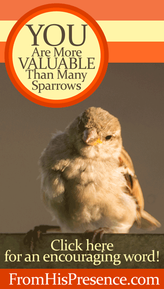 YOU are more valuable than many sparrows! Read this encouraging blog post by Jamie Rohrbaugh | FromHisPresence.com