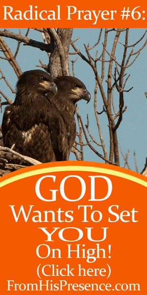 Radical Prayer #6: God Wants To Set You On High from Psalm 91:14. | By Jamie Rohrbaugh | FromHisPresence.com