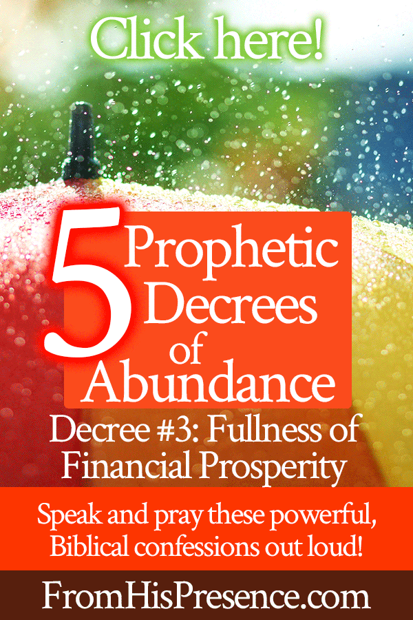 5 Prophetic Decrees of Abundance | Decree #3 Fullness of Financial Prosperity | by Jamie Rohrbaugh | FromHisPresence.com