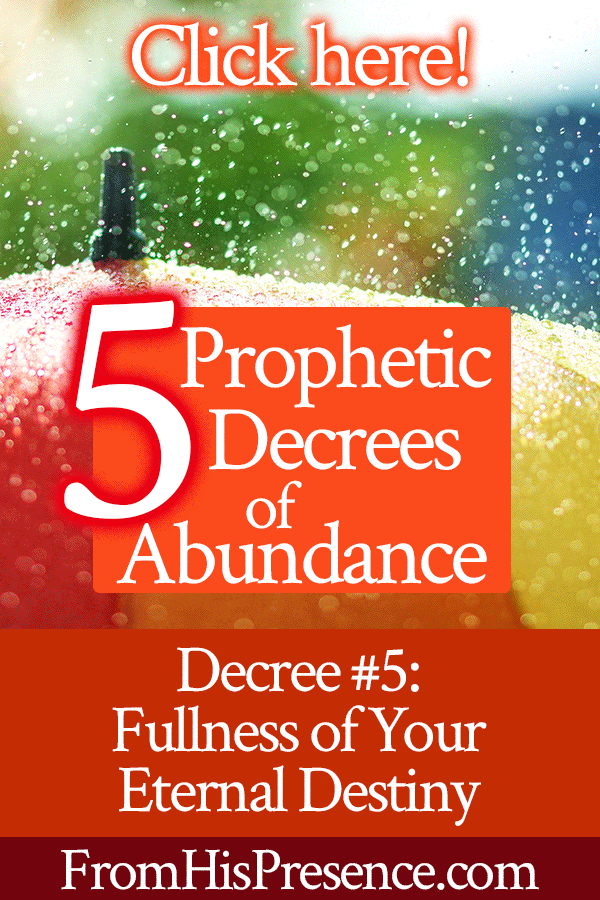 Prophetic Decrees of Abundance | Decree #5 Fullness of Your Eternal Destiny | by Jamie Rohrbaugh | FromHisPresence.com | Prayer and declaration for your destiny to happen