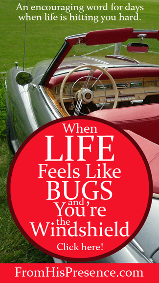 When Life Feels Like Bugs and You're the Windshield | By Jamie Rohrbaugh | FromHisPresence.com