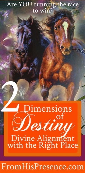 Dimensions-of-Destiny-2-Divine-Alignment-With-the-Right-Place