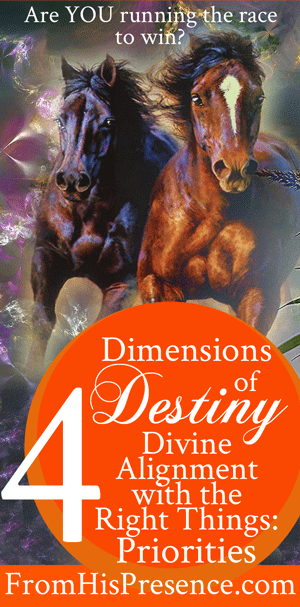 Dimensions of Destiny: Divine Alignment with the Right Things, Part 1