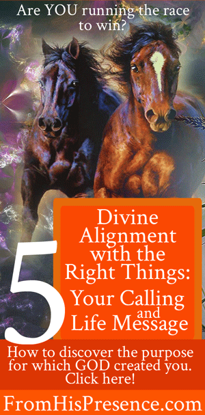 Dimensions-of-Destiny-5-Divine-Alignment-With-the-Right-Things-Calling-and-Life-Message-web