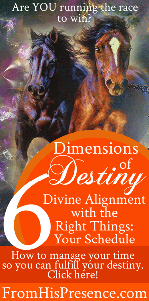 Dimensions-of-Destiny-6-Divine-Alignment-with-the-Right-Things-Part-3-Your-Schedule-web