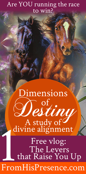 Dimensions of Destiny part 1: The Levers that Raise You Up by Jamie Rohrbaugh | FromHisPresence.com