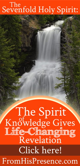 The Sevenfold Holy Spirit: The Spirit of Knowledge Gives Life-Changing Revelation