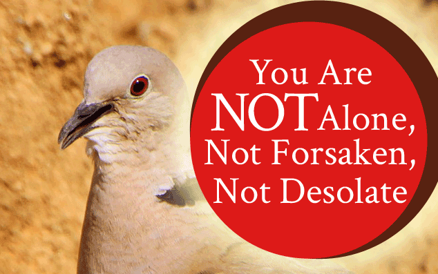 You Are Not Alone, Not Forsaken, Not Desolate