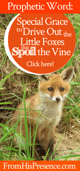 Prophetic Word: Special Grace to Drive Out the Little Foxes that Spoil the Vine