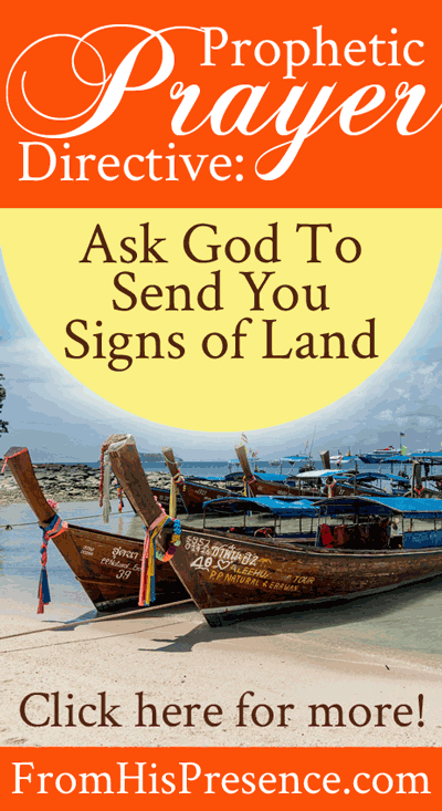 Prophetic Prayer Directive: Ask God to Send You Signs of Land | by Jamie Rohrbaugh | FromHisPresence.com