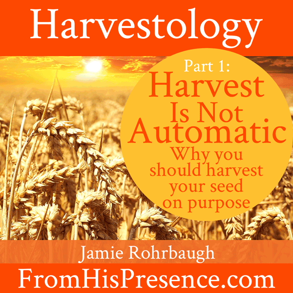 Harvestology 101: Harvest Is Not Automatic | by Jamie Rohrbaugh | FromHisPresence.com