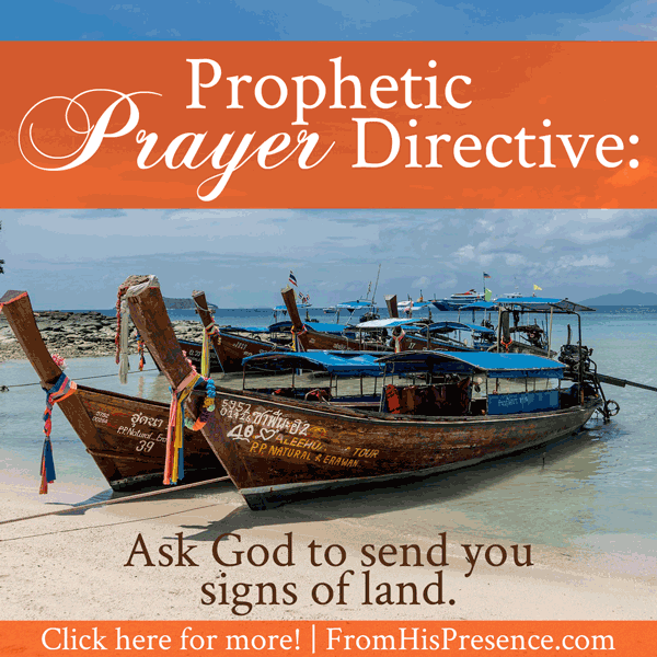 Prophetic Prayer Directive: Ask God To Send You Signs of Land