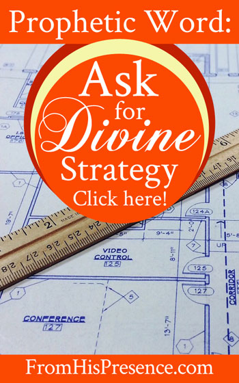 Prophetic Word: Ask for Divine Strategy | by Jamie Rohrbaugh | FromHisPresence.com