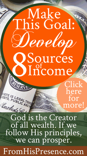 Make This Goal: Develop 8 Sources of Income | by Jamie Rohrbaugh | FromHisPresence.com(R)